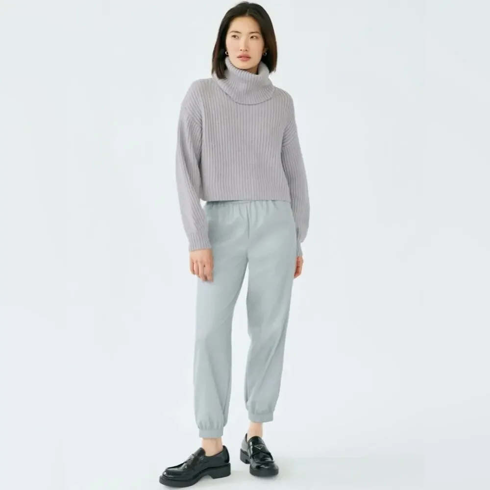 BABATON Aritzia Zedel Vegan Leather Jogger Pant in Marble Grey size 2XL